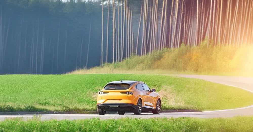 Voies Vertes : Vers un Avenir Durable avec les Véhicules Électriques