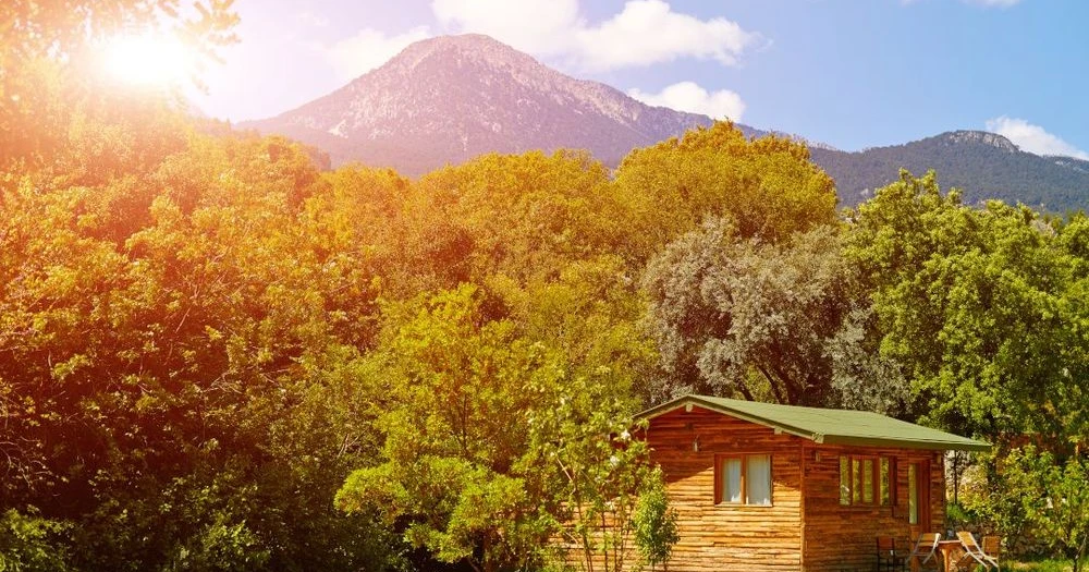 Mitten in der Natur: Bungalow-Urlaub