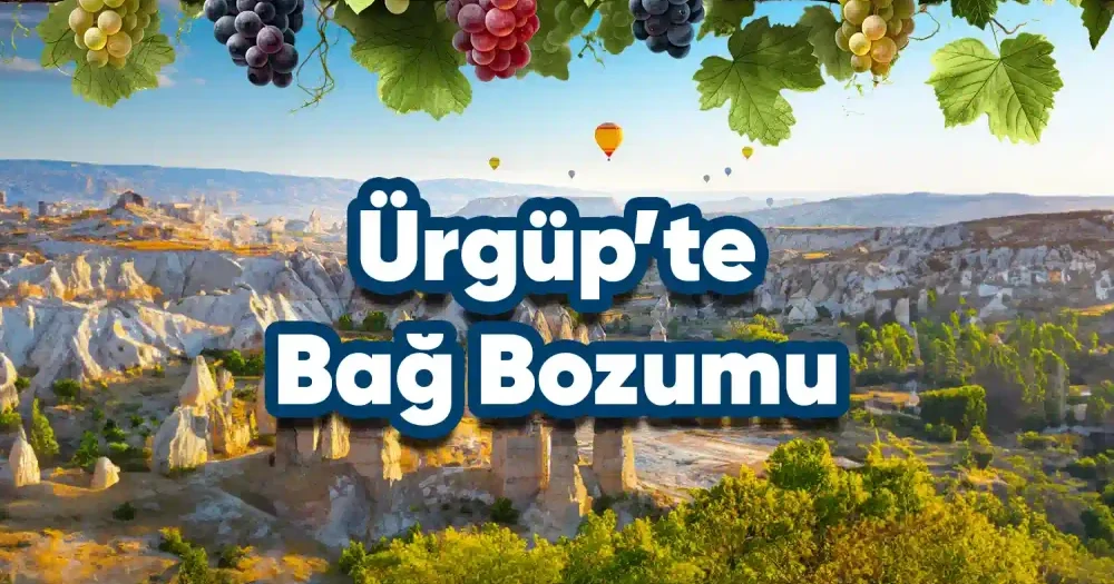Urgup International Vintage Festival