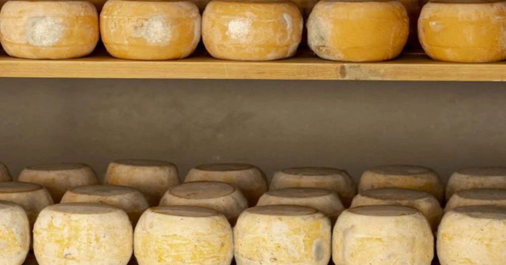 Museo del Queso de Kars: El Primer Museo del Queso de Turquía