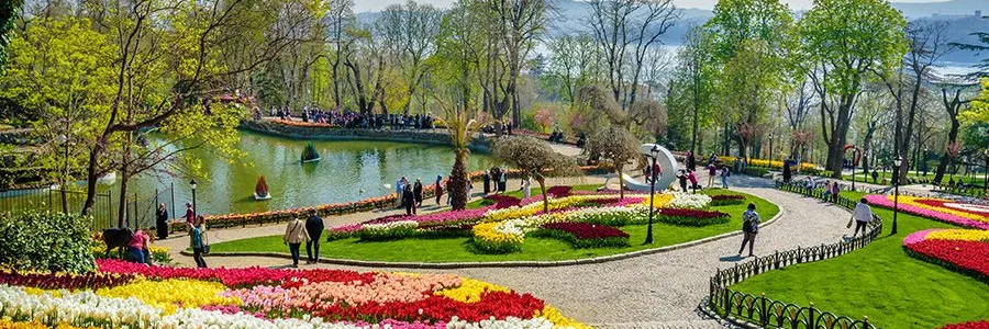 Sariyer Rent a Car - Car Rental