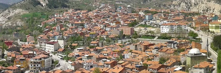 Kütahya Zafer Havalimanı (KZR) Araç Kiralama - Araç Kiralama