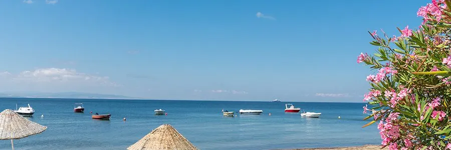 Balikesir Burhaniye Rent a Car - Car Rental