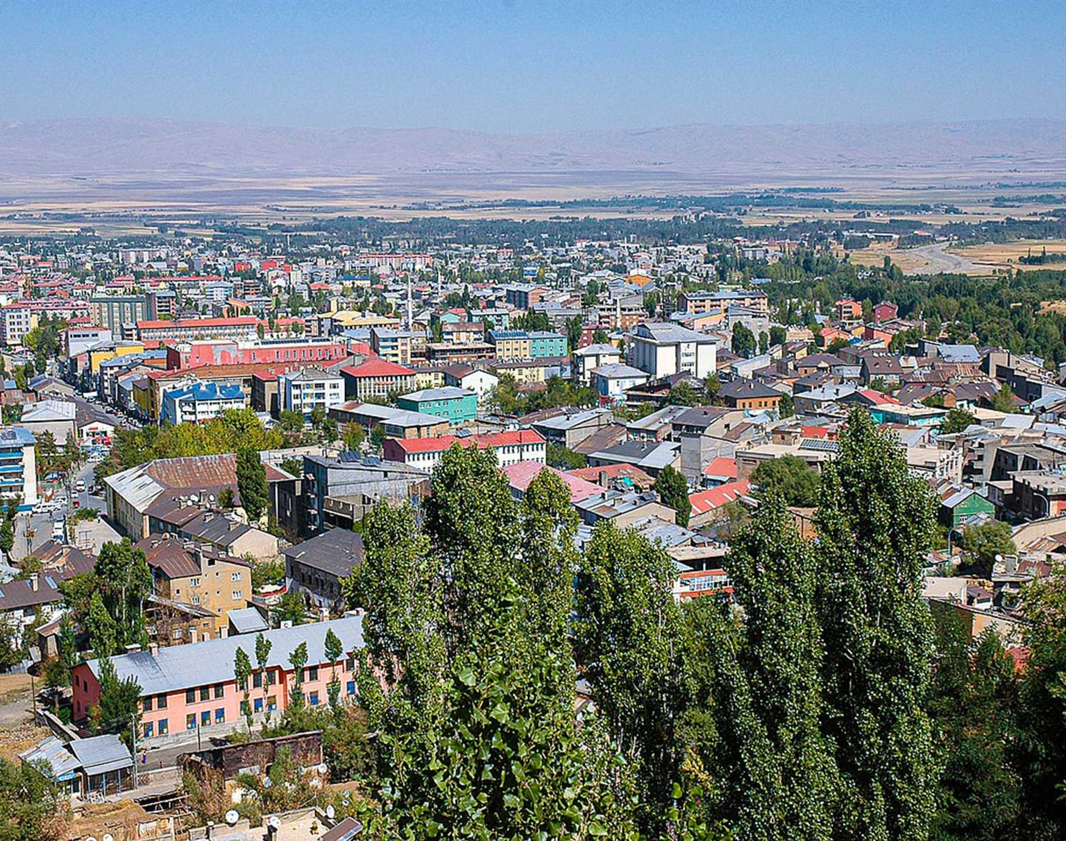 Muş Araç Kiralama - Araç Kiralama