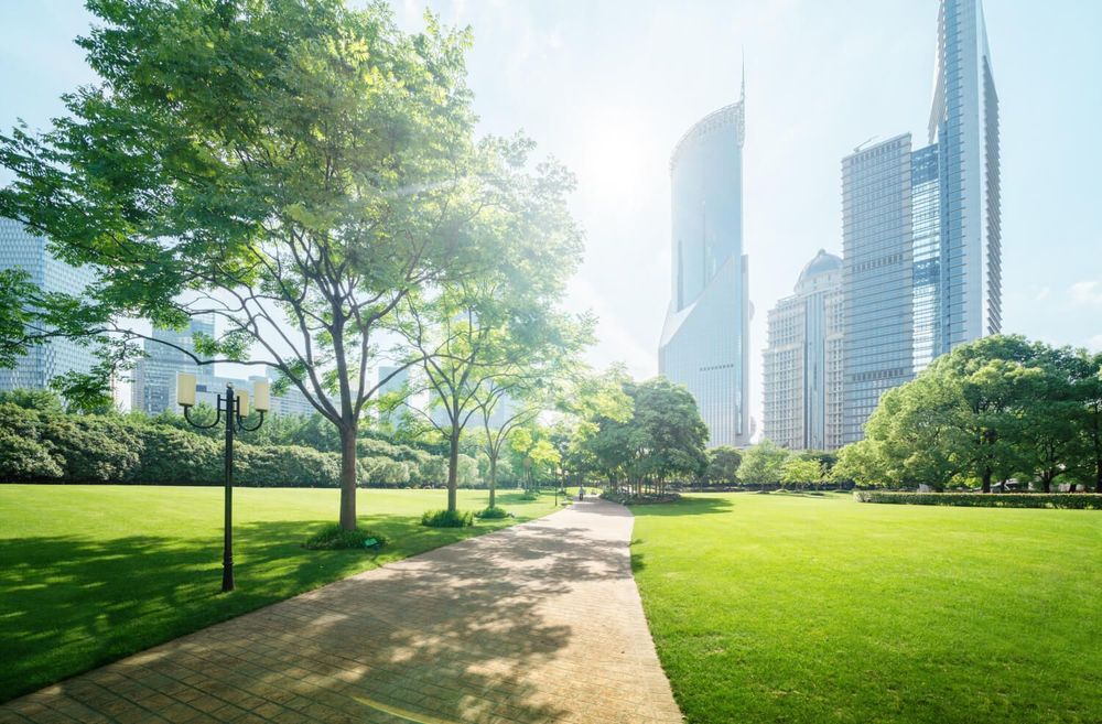 World's Best City Parks