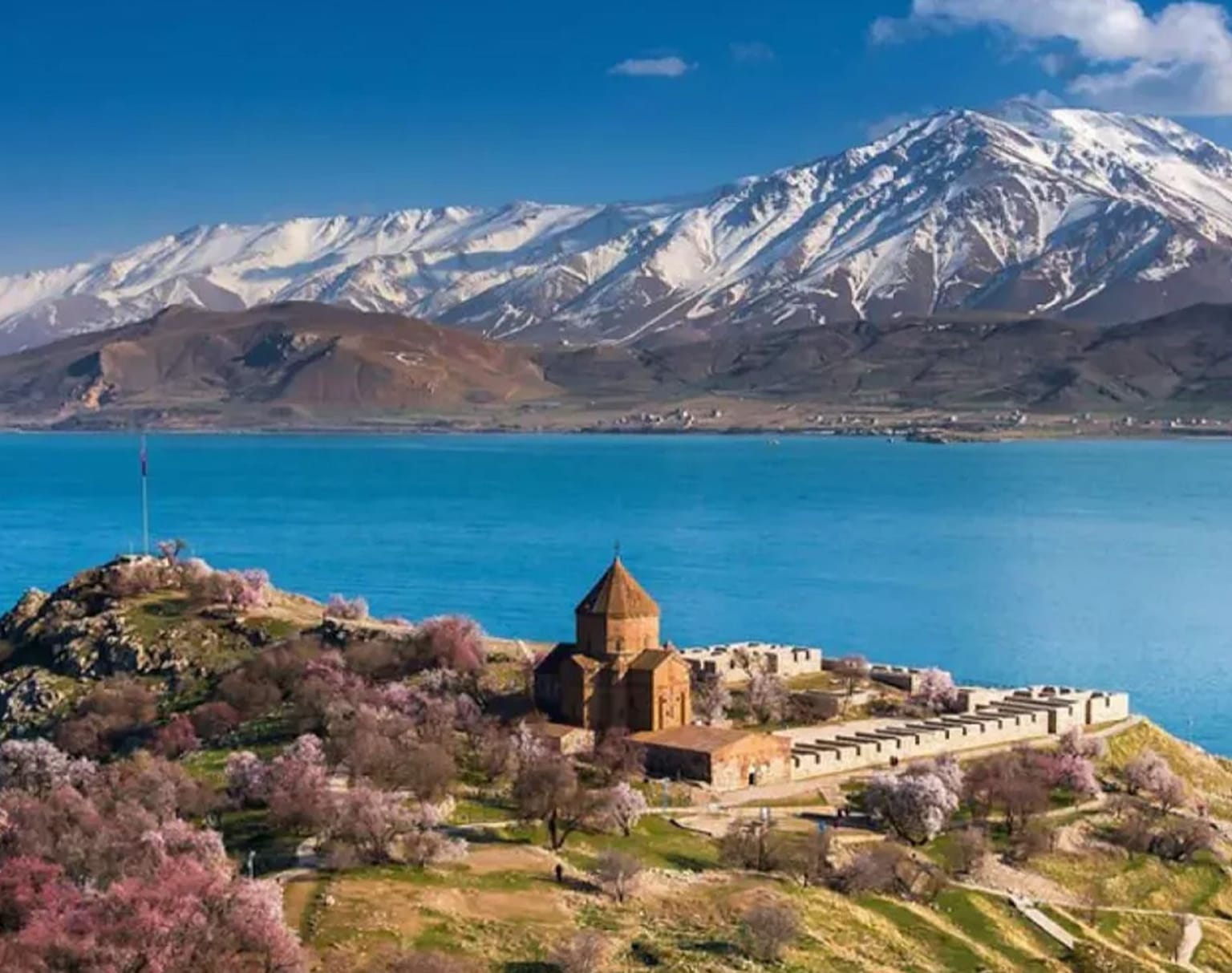 تأجير سيارات فان أراچ - تأجير السيارات